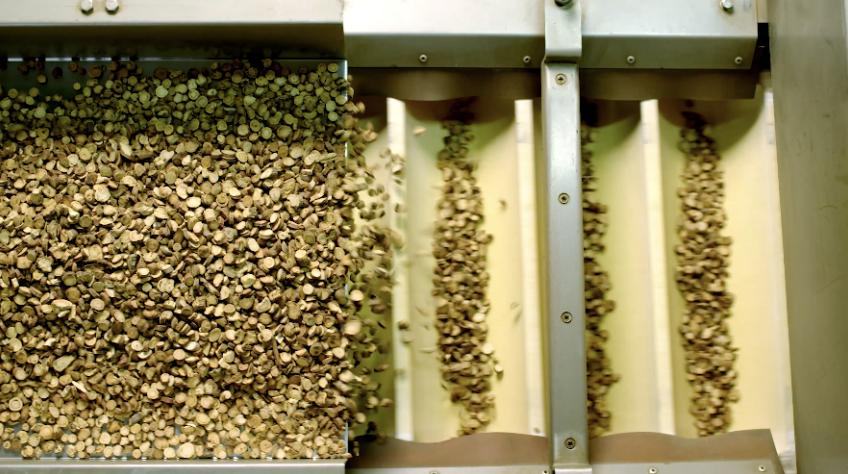 9888拉斯维加斯(股份)有限公司-官方网站